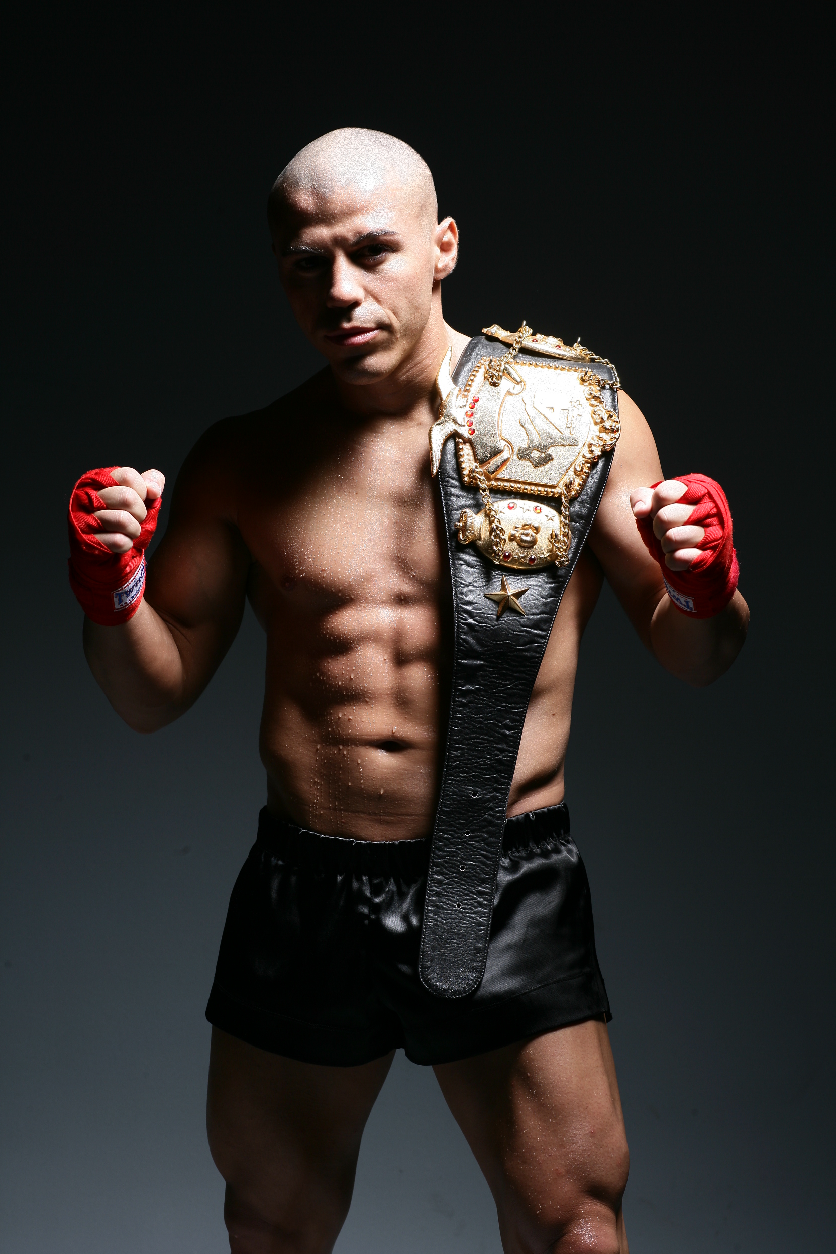 самые крутые великие бойцы. брок леснар. брок леснар. мощный боец. мэтт хьюз легенда мма.