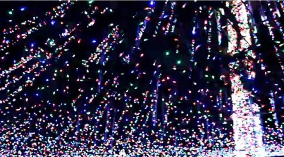 Παγκόσμιο ρεκόρ στα λαμπάκια! Δείτε το ΒΙΝΤΕΟ!