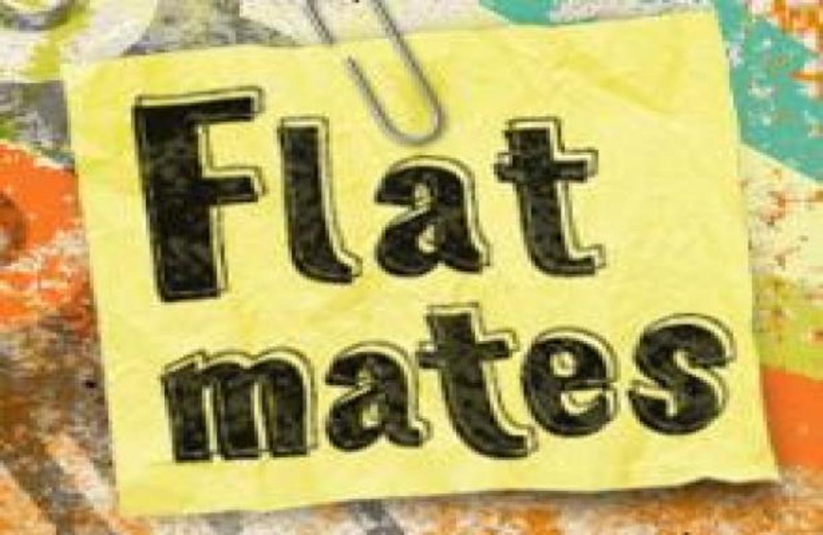 Flatmates Season 4: Πρεμιέρα στις 10 Ιανουαρίου!