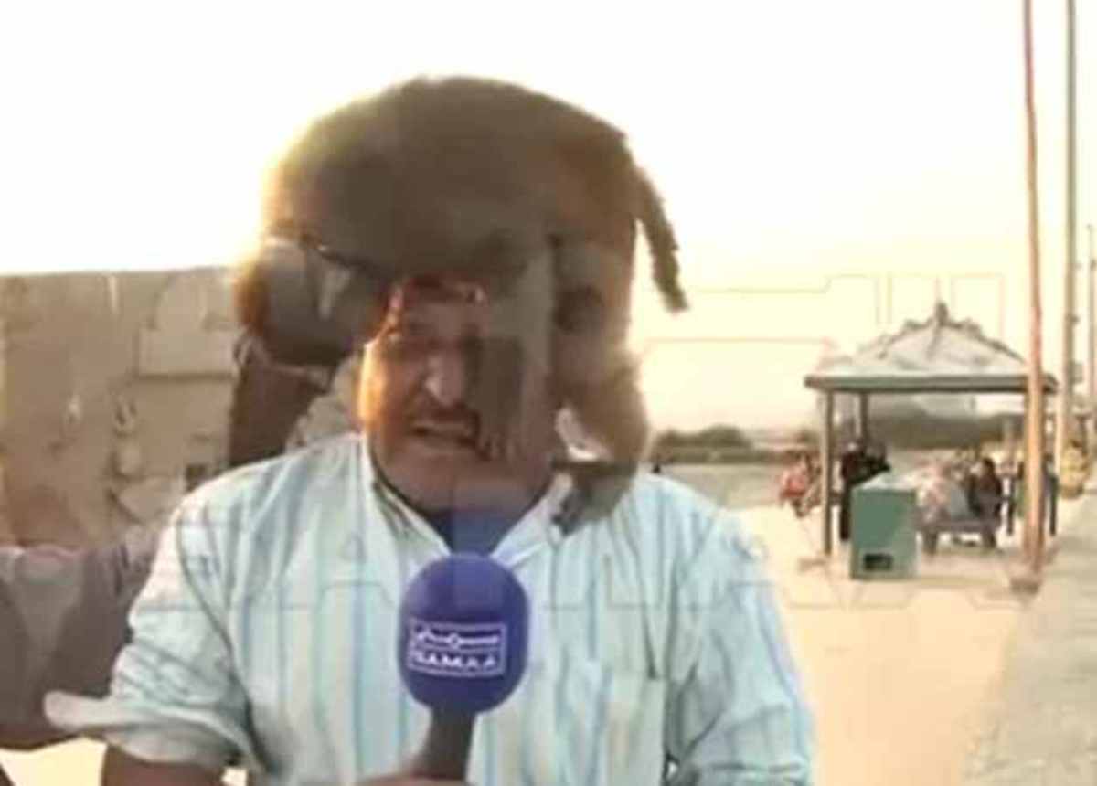 Αυτό θα πει αφοσίωση στο ρεπορτάζ!