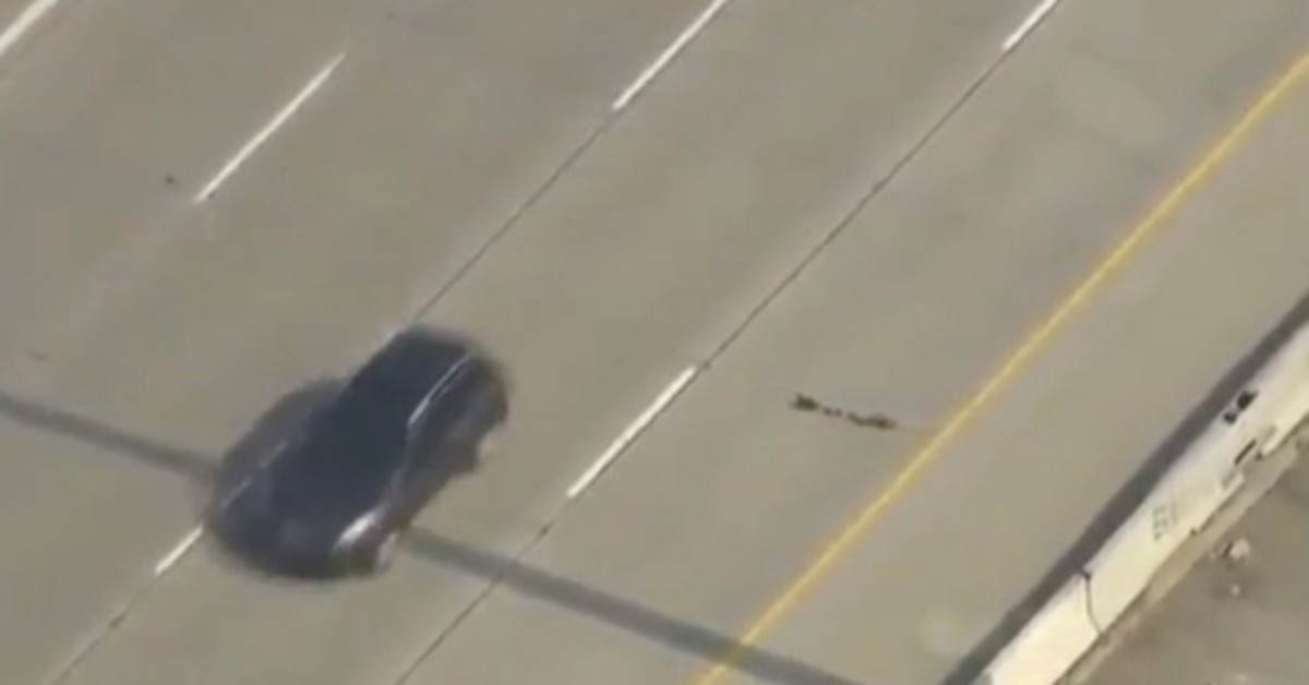 Τα παπάκια στη σειρά διασχίζουν τη λεωφόρο!