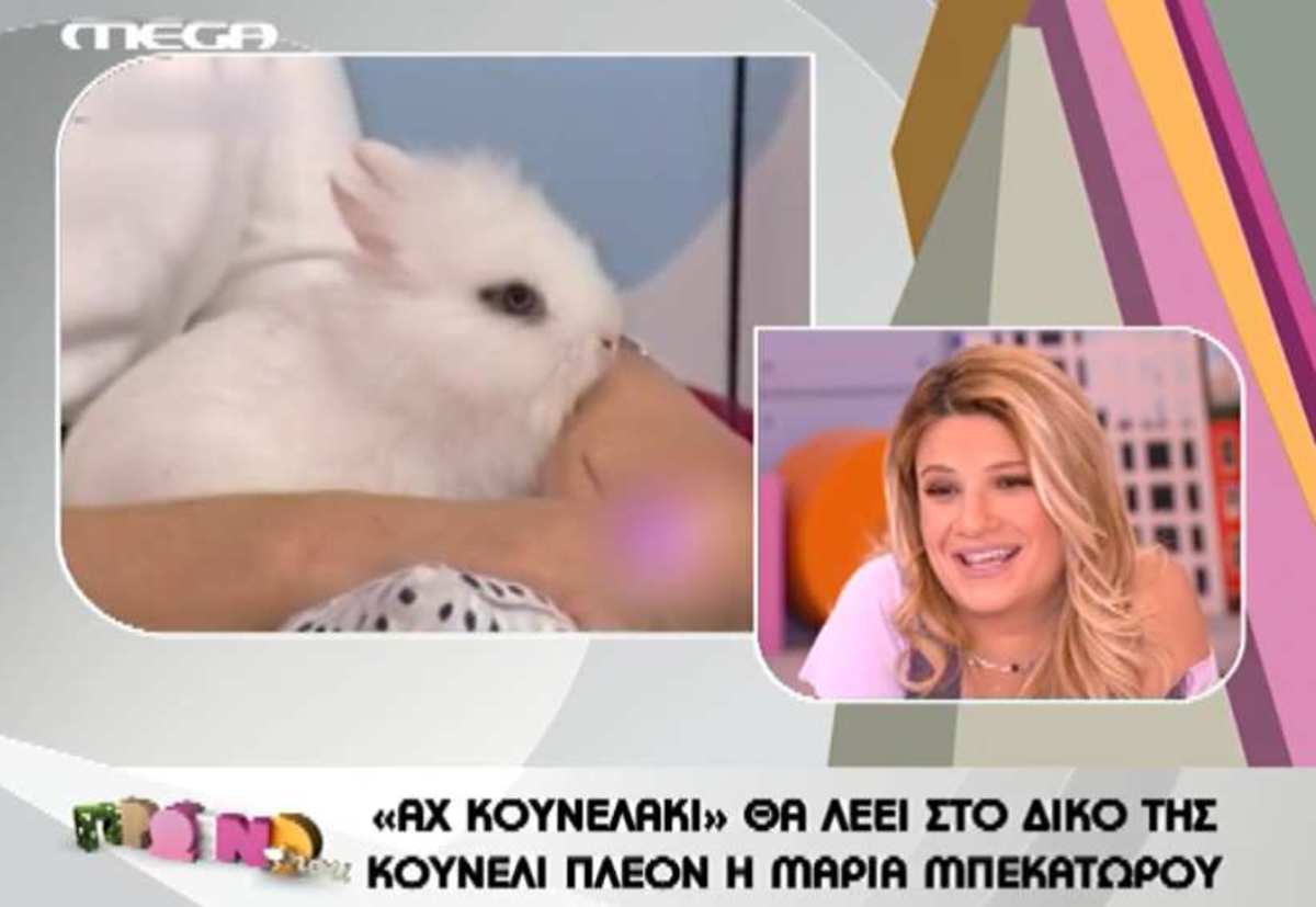 “Το κουνελάκι” της Μπεκατώρου