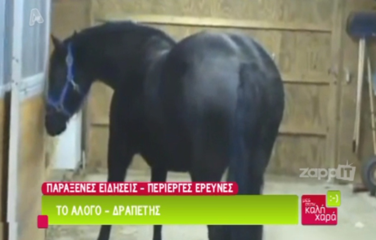 Δείτε το άλογο που ξεκλειδώνει τις πόρτες και δραπετεύει από τη φάρμα!