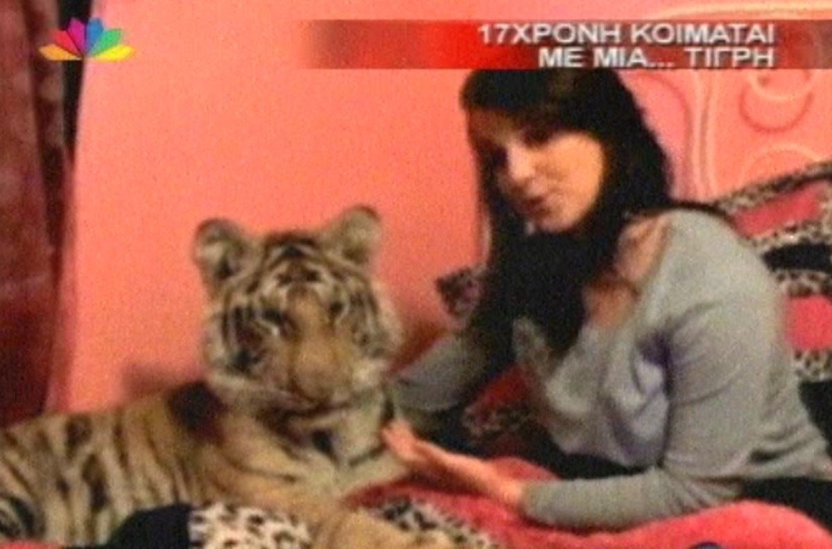 17χρονη κοιμάται κάθε βράδυ αγκαλιά με μια τίγρη