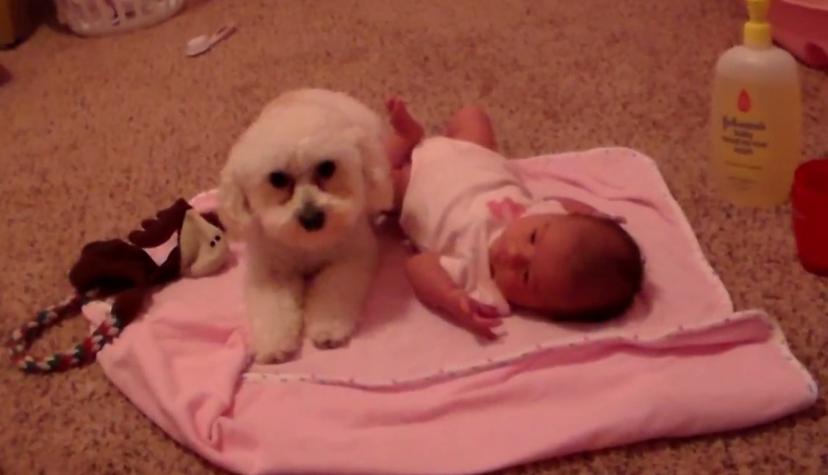 Αυτό είναι το πιο “γλυκό” βίντεο της εβδομάδας!