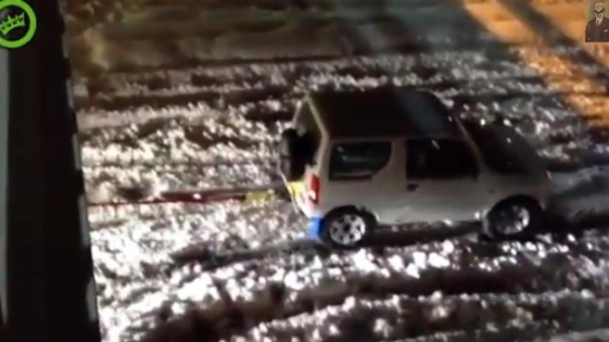 Τα καλύτερα βίντεο της ημέρας!