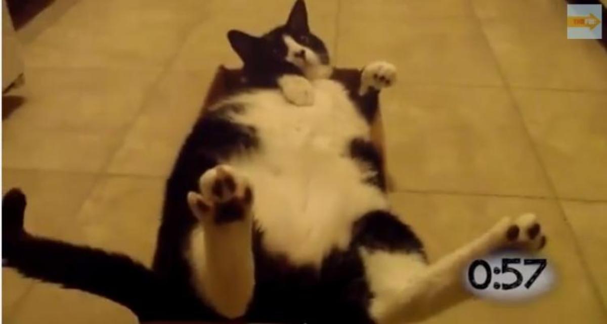 Τα καλύτερα βίντεο της ημέρας!