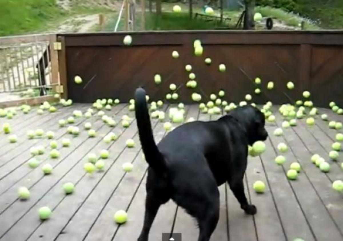 Τα καλύτερα βίντεο της ημέρας!