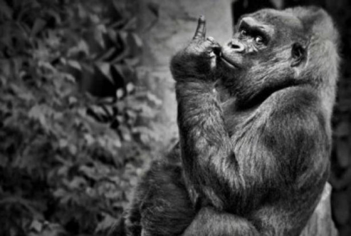 Ξεκαρδιστικές φωτο: Τραβήχτηκαν τη… σωστή στιγμή!