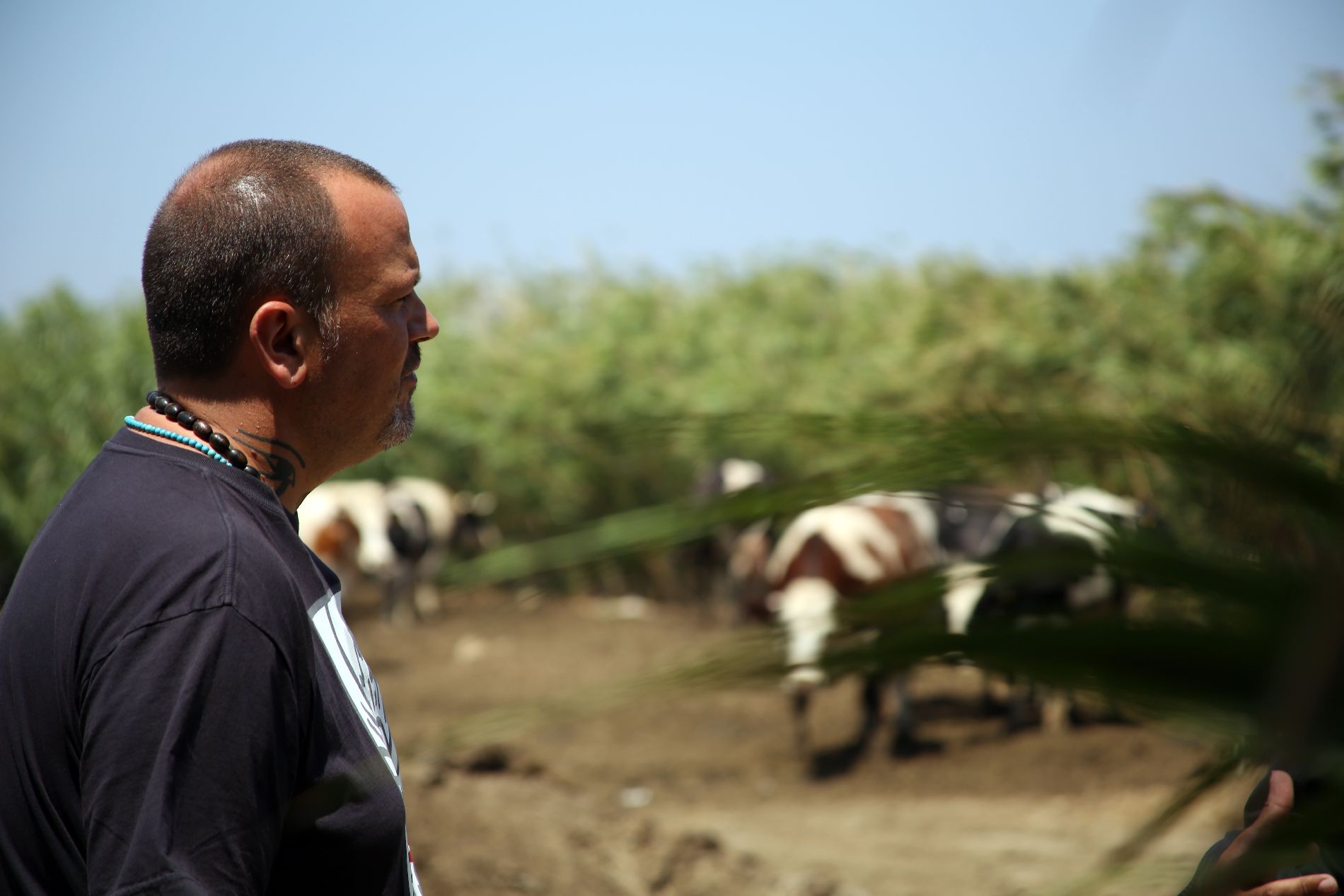 Χωρίς Συνταγή στην Κορινθία