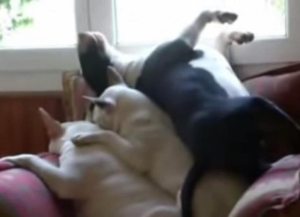 Τα καλύτερα βίντεο της Μ. Δευτέρας!