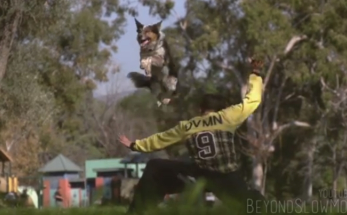 Εκπληκτικό βίντεο: Η μαγεία της αργής κίνησης!