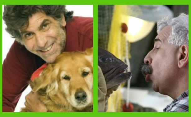 Πως κινήθηκε η τηλεθέαση στην prime time ζώνη;