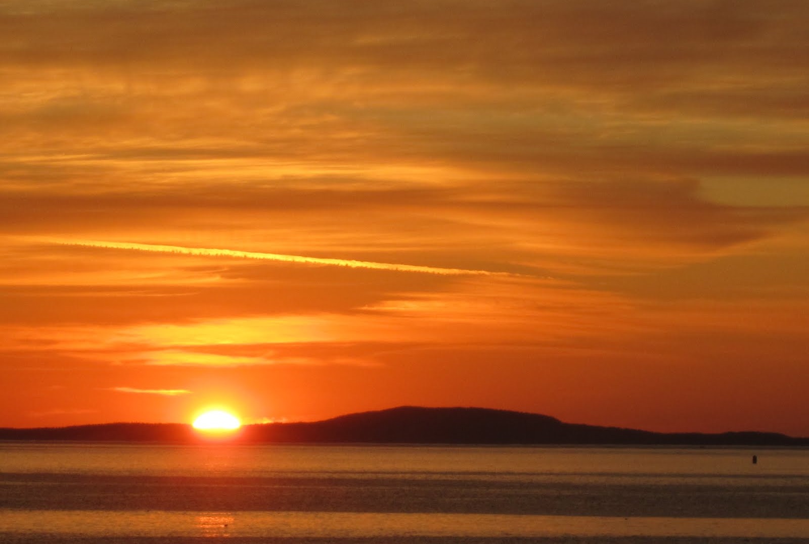 Ποια πρωινή εκπομπή σημειώνει την υψηλότερη τηλεθέαση;