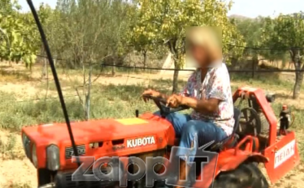 Ποια παρουσιάστρια έγινε φυστικοπαραγωγός στην Αίγινα;