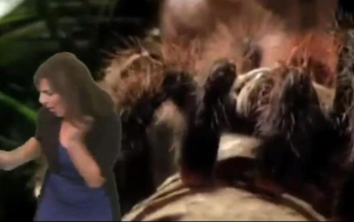 Ξεκαρδιστική φάρσα!  Η μετεωρολόγος έφυγε από το πλάνο ουρλιάζοντας…(βίντεο)