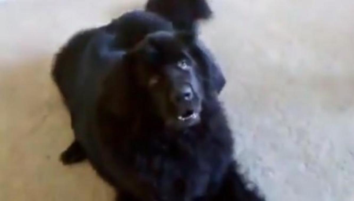 Τα καλύτερα βίντεο της ημέρας!