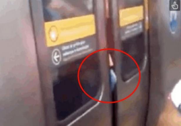 Αυτό πρέπει να τον… πόνεσε πολύ! Απίστευτο βίντεο!