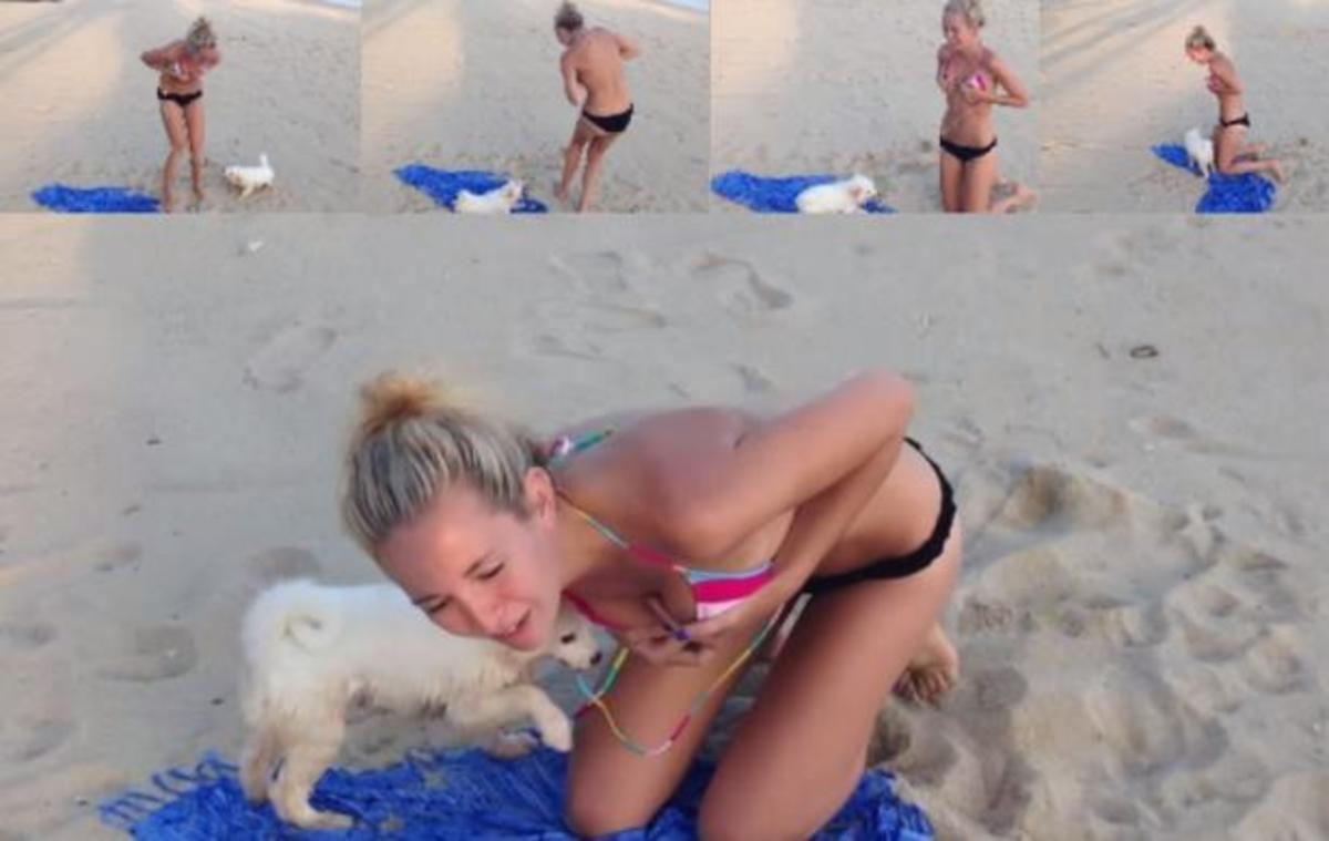 Το σκυλάκι που έχει αδυναμία στο… τόπλες (βίντεο)