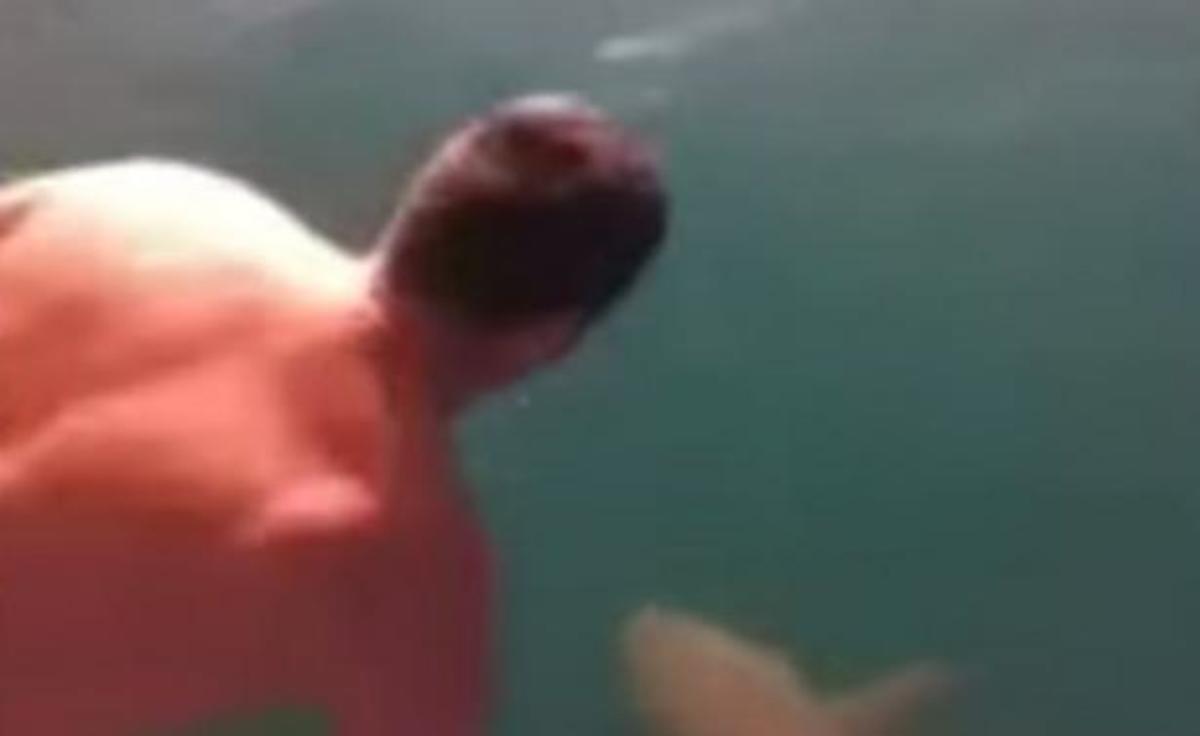 Έπεσε στη θάλασσα δίπλα από καρχαρία! (ΒΙΝΤΕΟ)