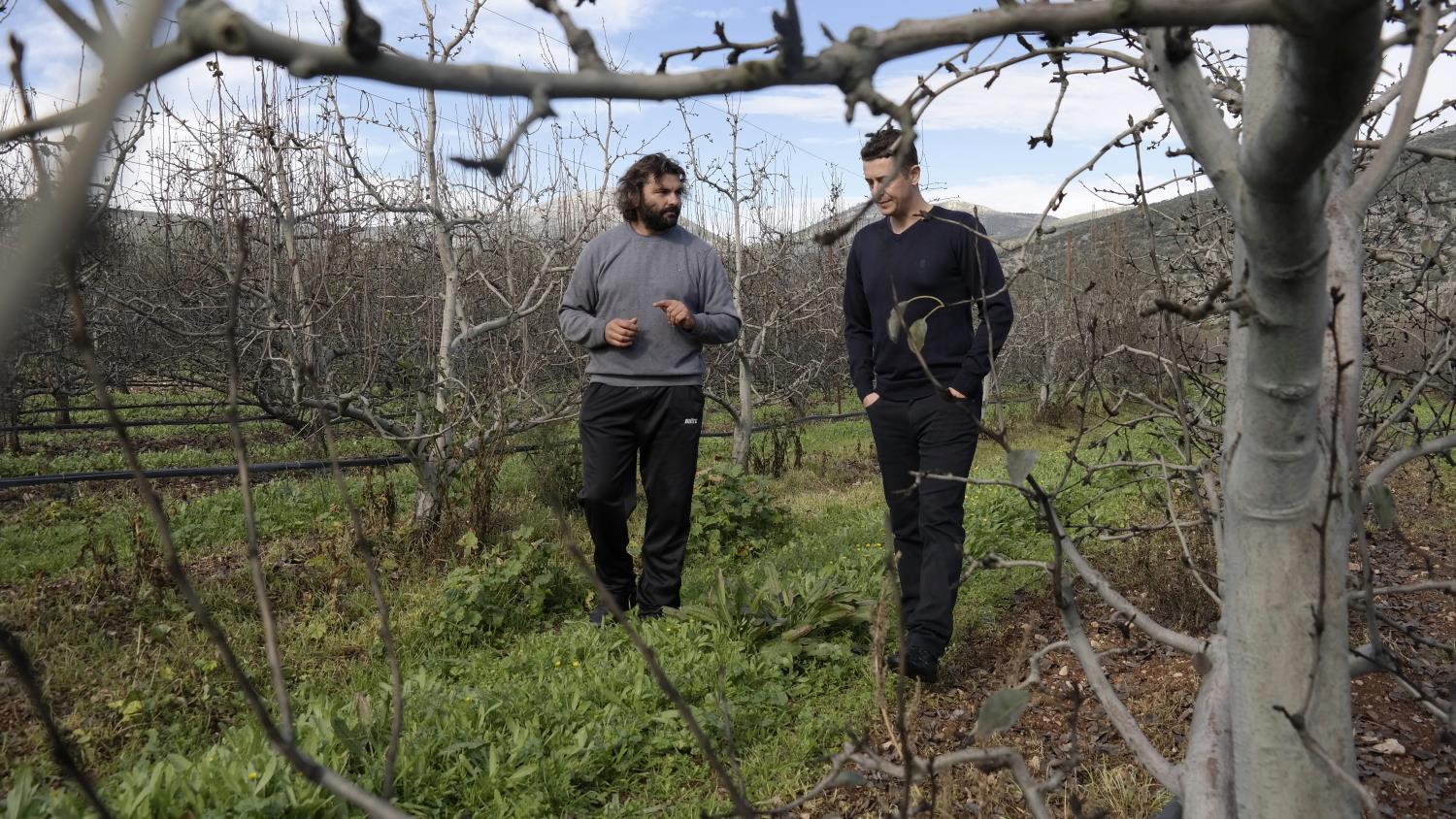 Αυτοψία στη Δήμαινα του Νομού Αργολίδας