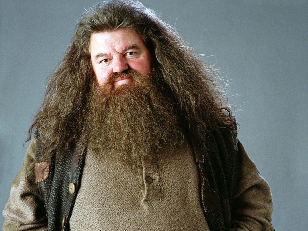 Στο νοσοκομείο ο Hagrid του «Harry Potter»
