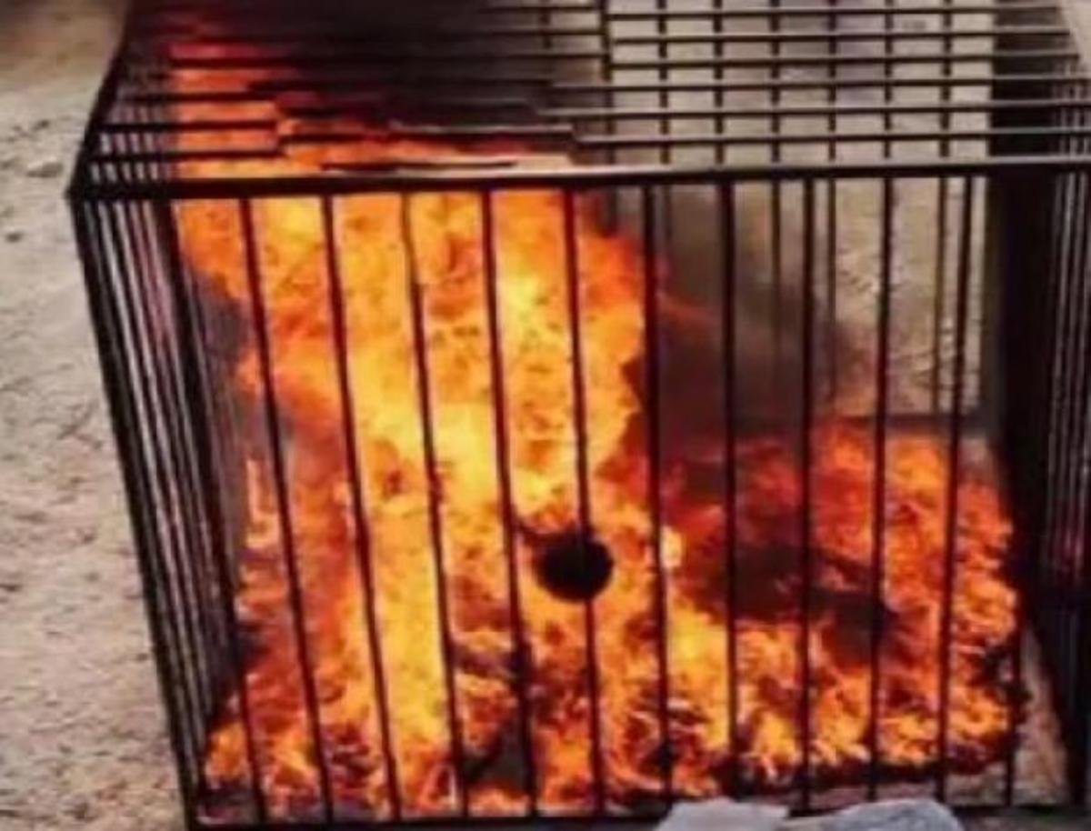 Παγκόσμια φρίκη – Τζιχαντιστές έκαψαν ζωντανό τον Ιορδανό αιχμάλωτο