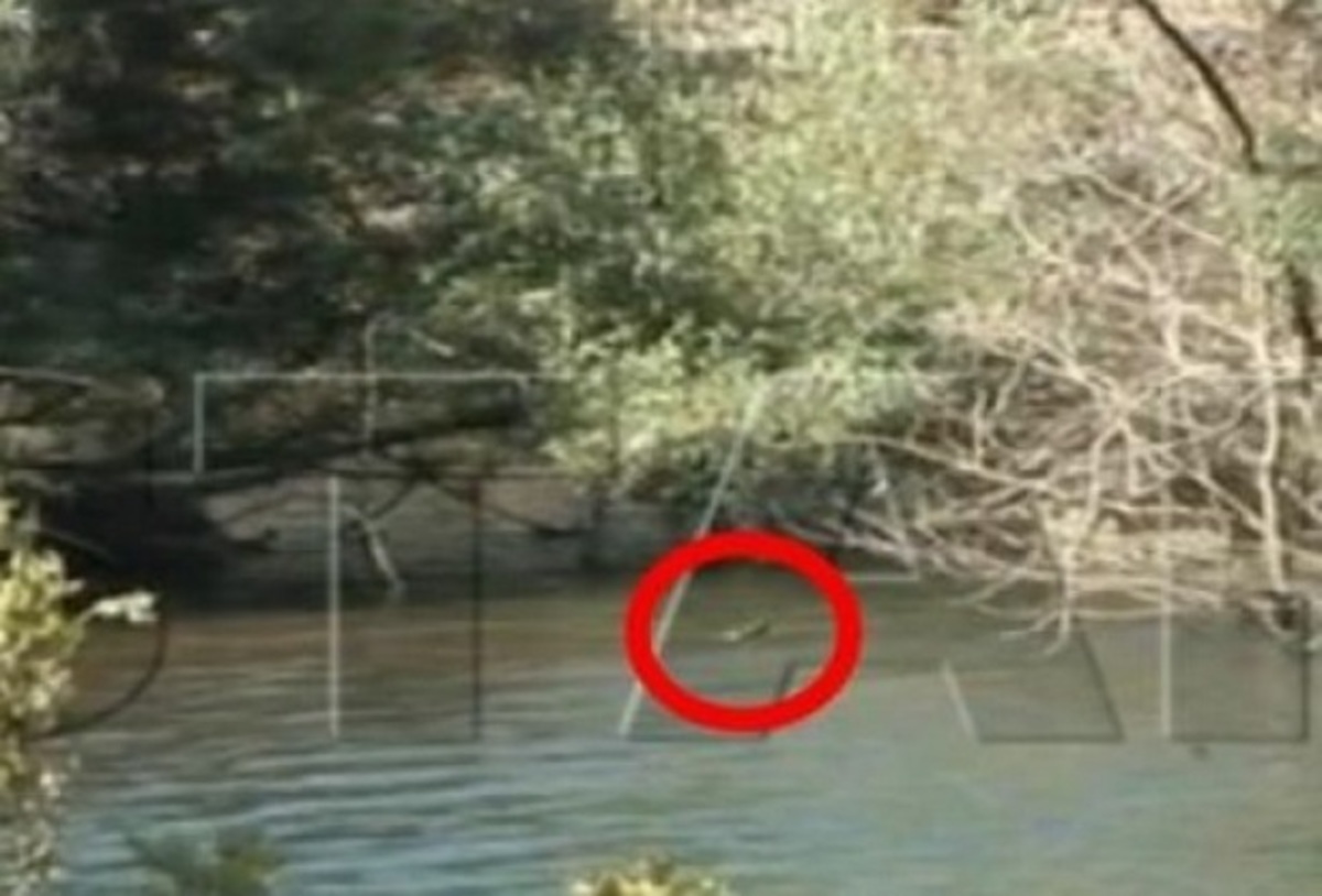 Βρέθηκε νεκρός ο Σήφης ο κροκόδειλος!