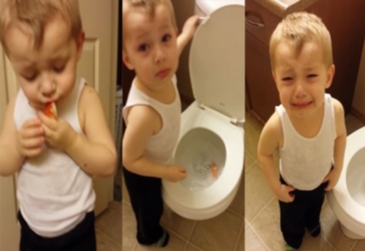 “Κήδεψε” το χρυσόψαρο του και σπάραξε στο κλάμα!