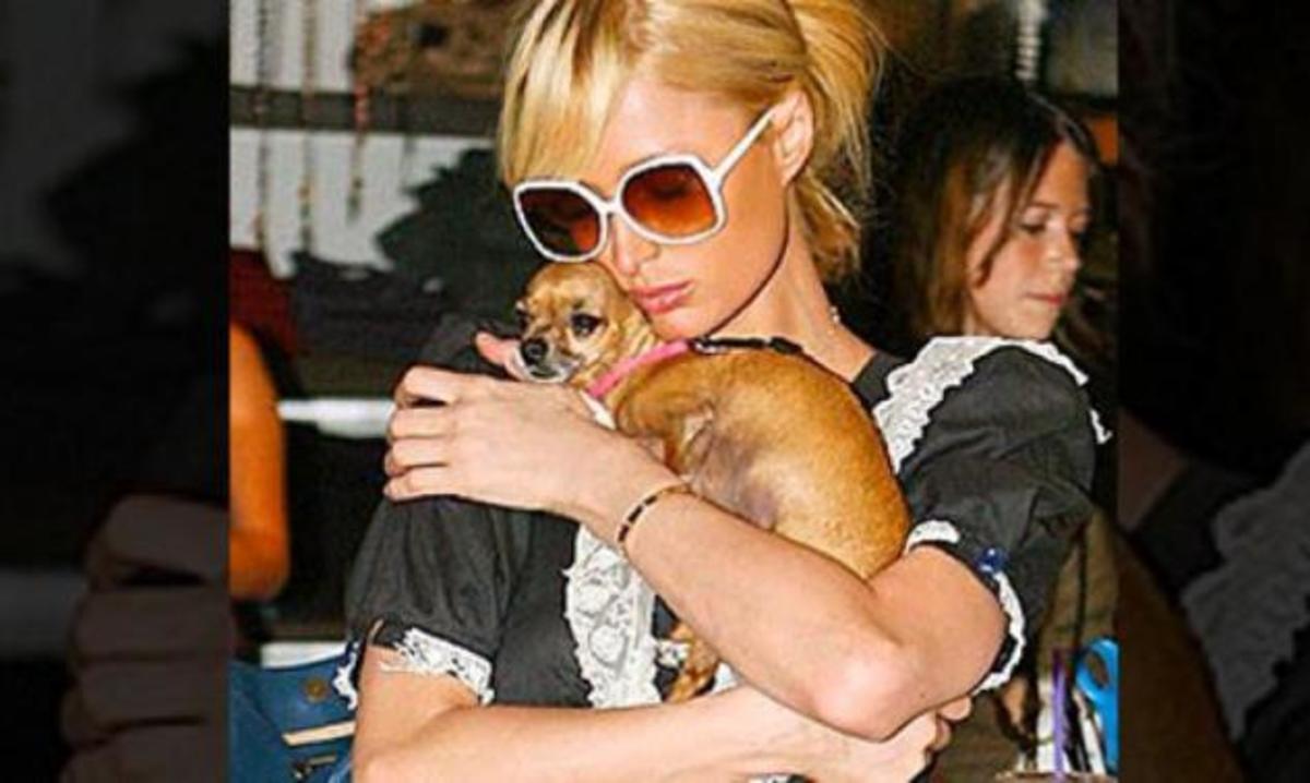 Paris Hilton: Δύσκολες στιγμές για τη διάσημη celebrity