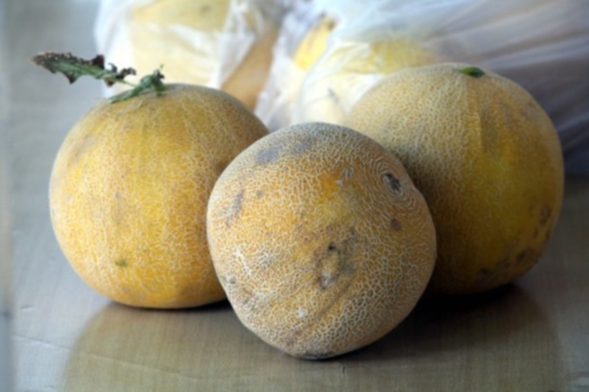 Δε φαντάζεστε πόσο πουλήθηκαν δυο πεπόνια στην Ιαπωνία…