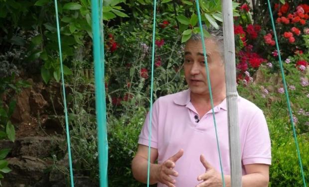 Χρώματα και Αρώματα: Πολύτιμα μυστικά για τη φροντίδα του κήπου