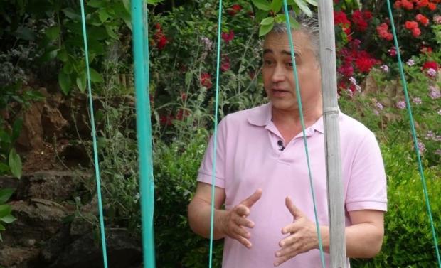 Χρώματα και Αρώματα: Ιαπωνικός κήπος σε πολυκατοικία