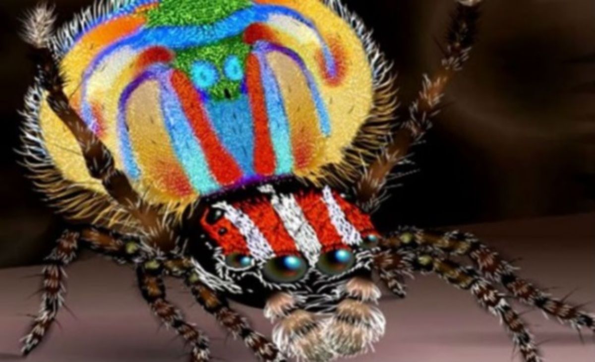 25 νέα είδη οργανισμών που ανακαλύφθηκαν το 2014!