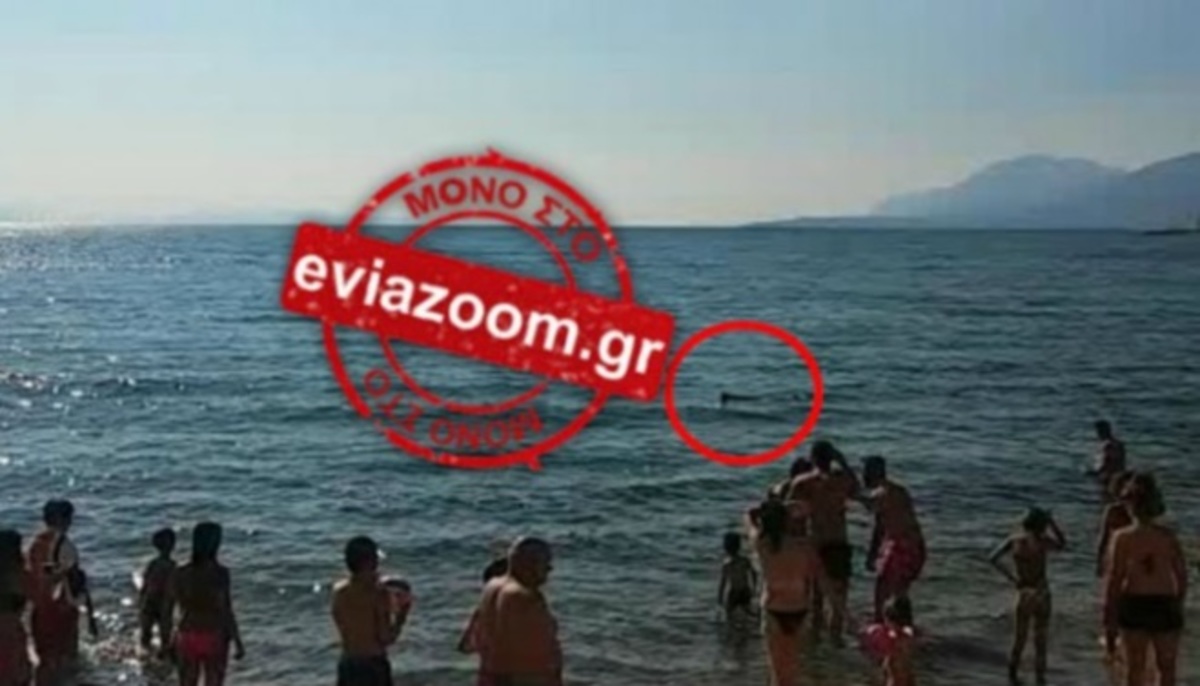 Ψάρι προκάλεσε πανικό στους λουόμενους στην Εύβοια
