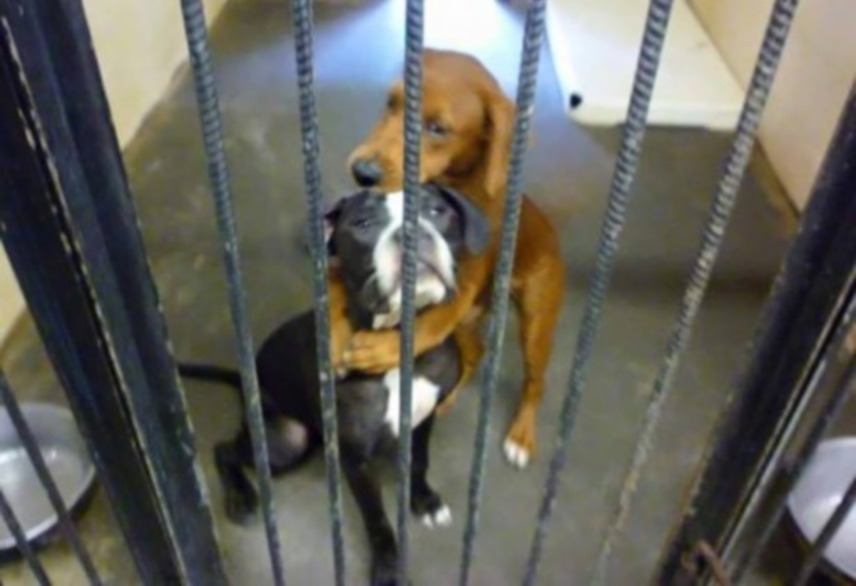 Αυτή η φωτογραφία τους έσωσε τη ζωή!