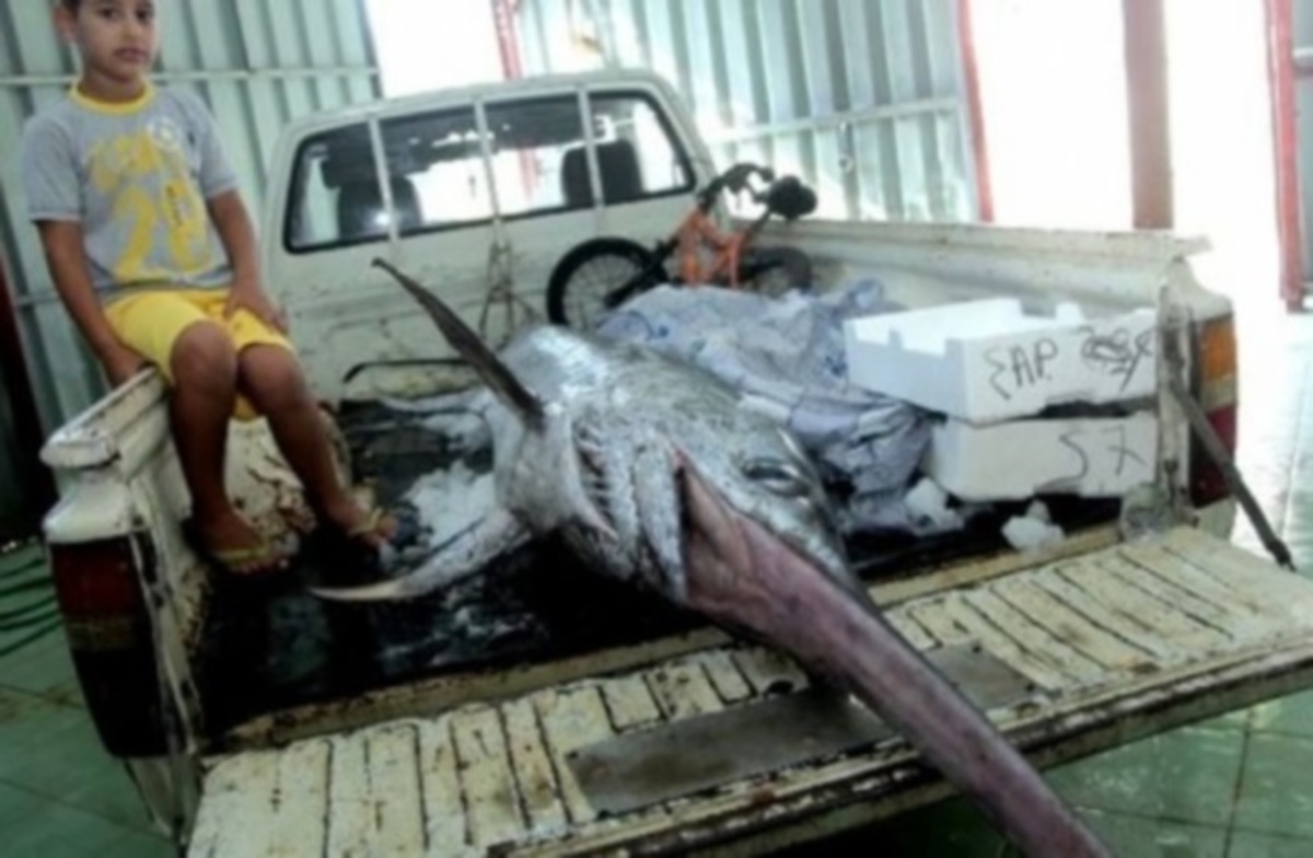 Η μεγάλη έκπληξη που έκρυβαν τα δίχτυα του ψαρά!