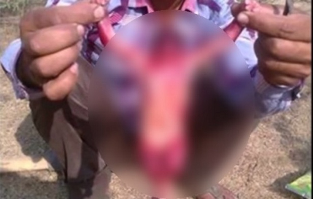 Είναι εξωγήινος; Αναστάτωση στο διαδίκτυο!