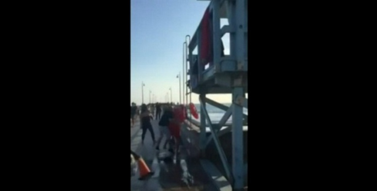 Απίστευτος καβγάς σε παραλία – Έπεσε το ξύλο της αρκούδας!