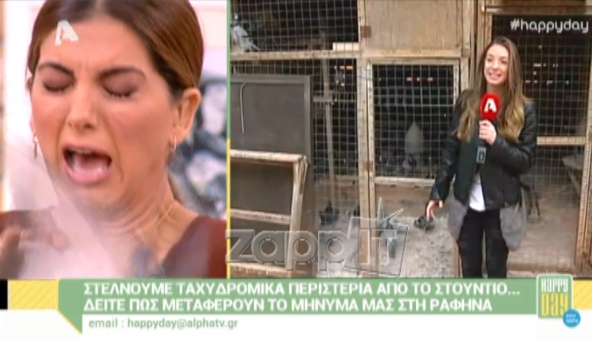 Σταματίνα Τσιμτσιλή: Μοναδικό στιγμιότυπο με τον Ράμπο, το ταχυδρομικό περιστέρι που ξέφυγε από τα χέρια της!