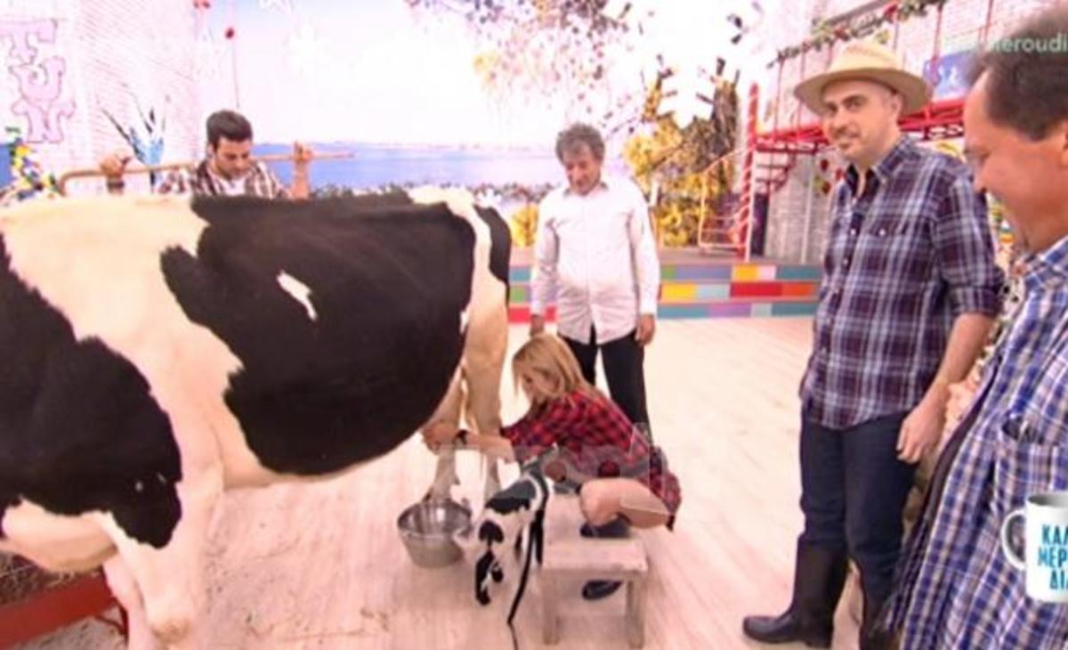 Ντορέττα Παπαδημητρίου: Άρμεξε αγελάδα στον αέρα της εκπομπής!