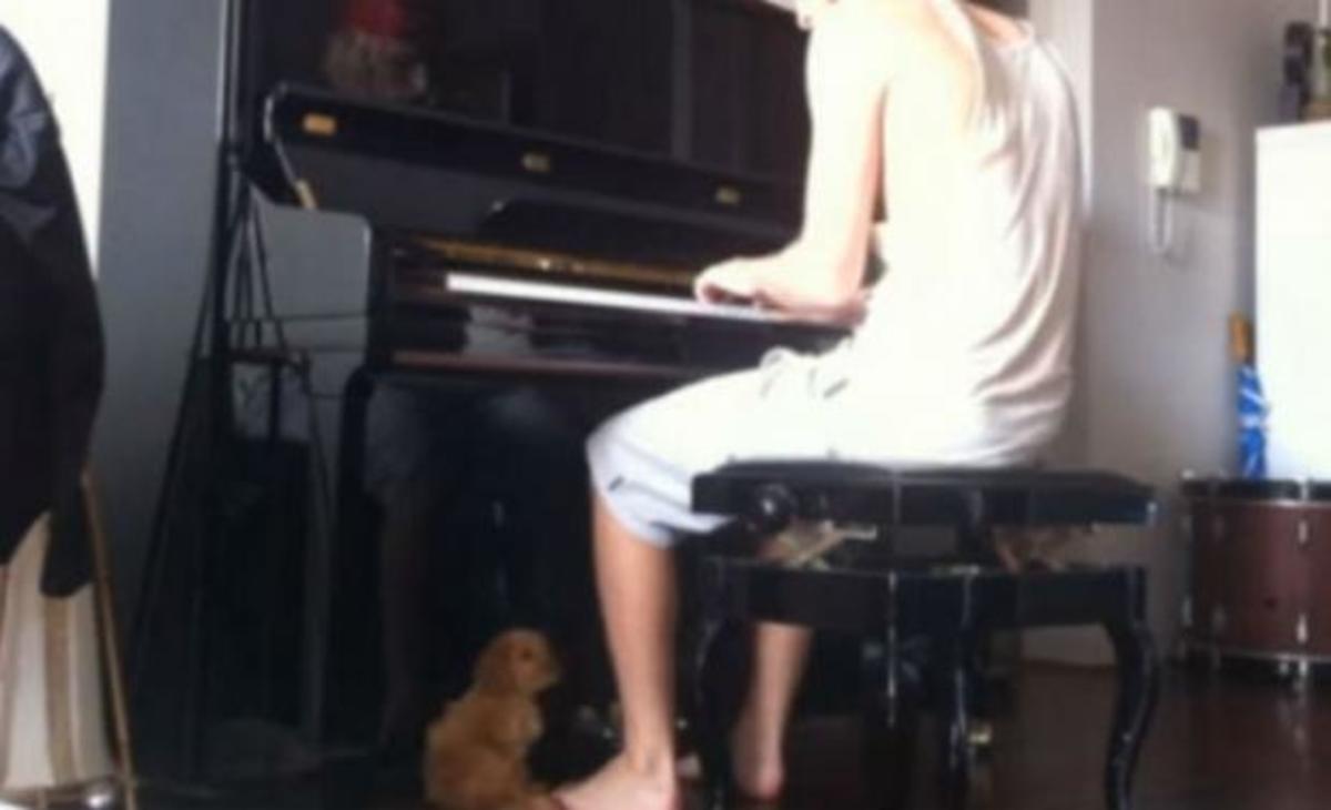 Η αντίδραση του σκύλου όταν ο ιδιοκτήτης του παίζει πιάνο!
