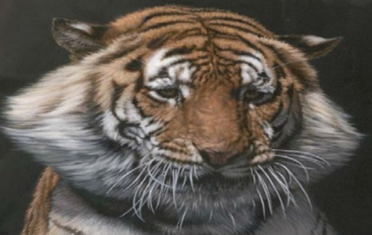 Νομίζετε ότι είναι φωτογραφίες;