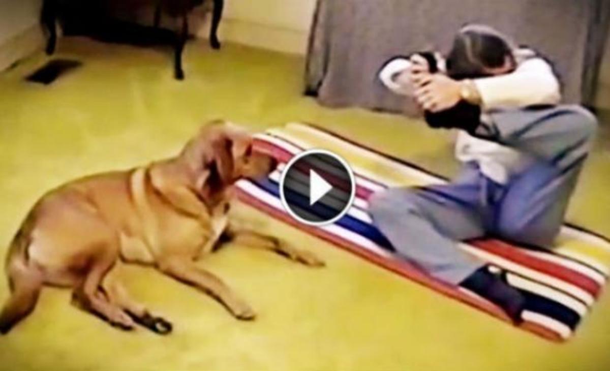 Η γυναίκα προσπαθούσε να κάνει μια δύσκολη άσκηση γιόγκα – Η αντίδραση του σκύλου της είναι ξεκαρδιστική!