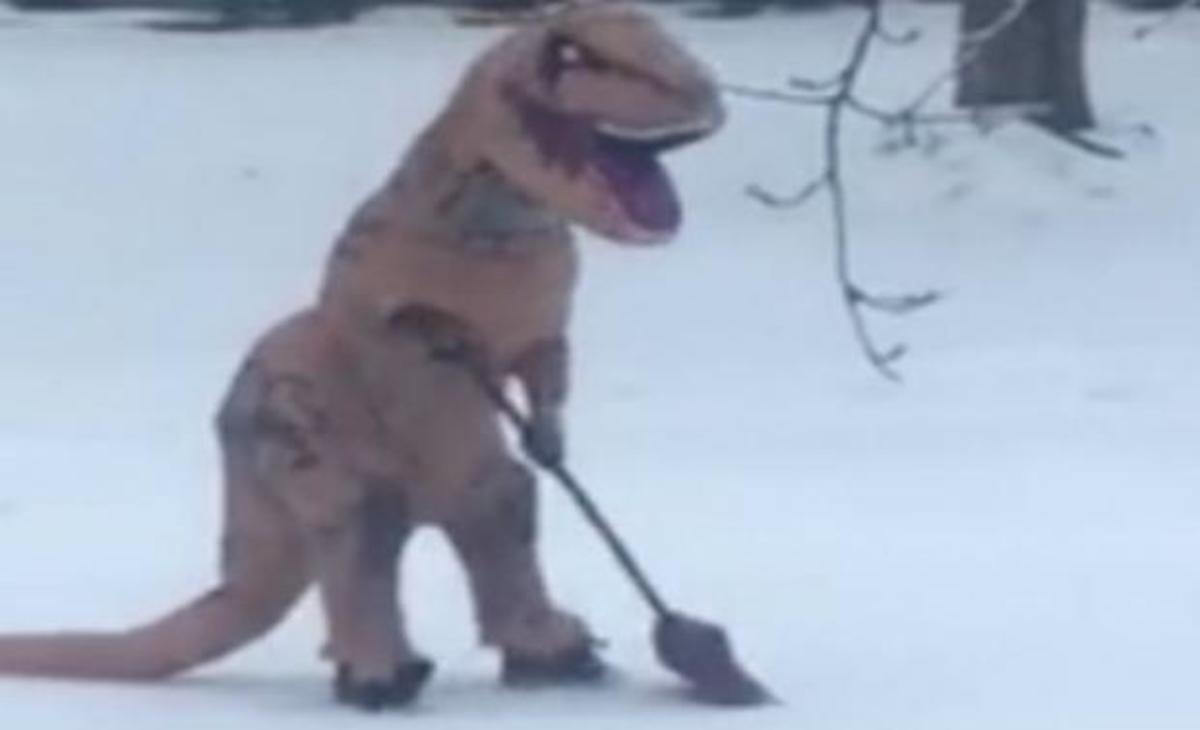 Ντύθηκε τυραννόσαυρος Ρεξ και πήγε να μαζέψει το χιόνι με το φτυάρι του!