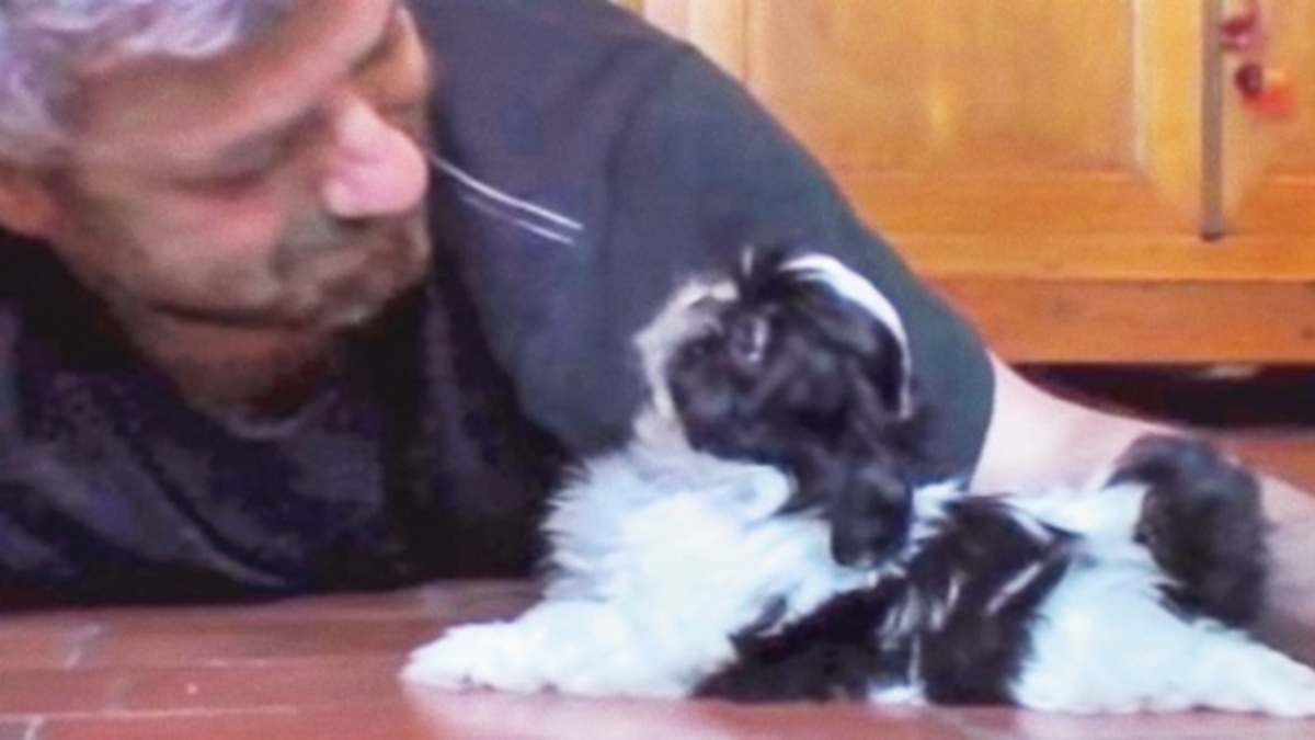 Θα λιώσεις! Το πιο αξιολάτρευτο κουταβάκι γνωρίζει το νέο του αφεντικό (ΒΙΝΤΕΟ)