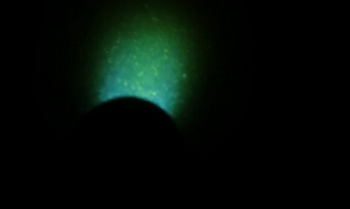 Η τελευταία κατάδυση! Αντέχεις να το δεις;