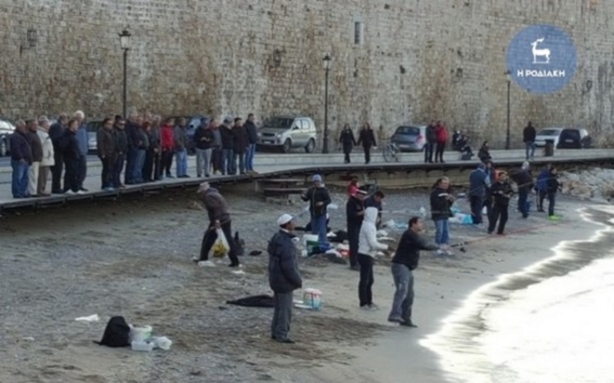 Χιλιάδες τσιπούρες βγήκαν στην στεριά στη Ρόδο! Το αδιαχώρητο στο λιμάνι!