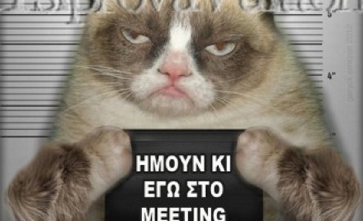 “Έσκισε” και το twitter τη… #gata_imalaiwn