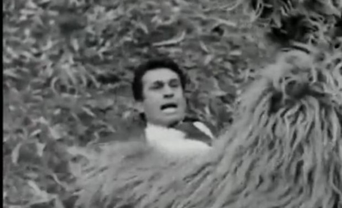 Όταν ο Ν. Ξανθόπουλος τα έβαζε με αρκούδα 47 χρόνια πριν – “Γατάκι” Ντι Κάπριο! ΒΙΝΤΕΟ